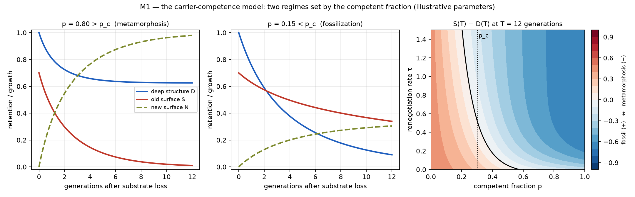 Figure 1. The carrier-competence model. Left: with the competent fraction above the threshold (p = 0.80), deep structure (D, blue) is held while old surface (S, red) is replaced and new surface (N, dashed) grows. Middle: below the threshold (p = 0.15), deep structure decays and the old surface outlives it. Right: the difference S − D at twelve generations across the competent fraction and the renegotiation rate, with the analytic threshold p_c dotted; the finite-horizon boundary bends away from p_c where renegotiation removes old surface while deep structure is still decaying. Illustrative parameters.