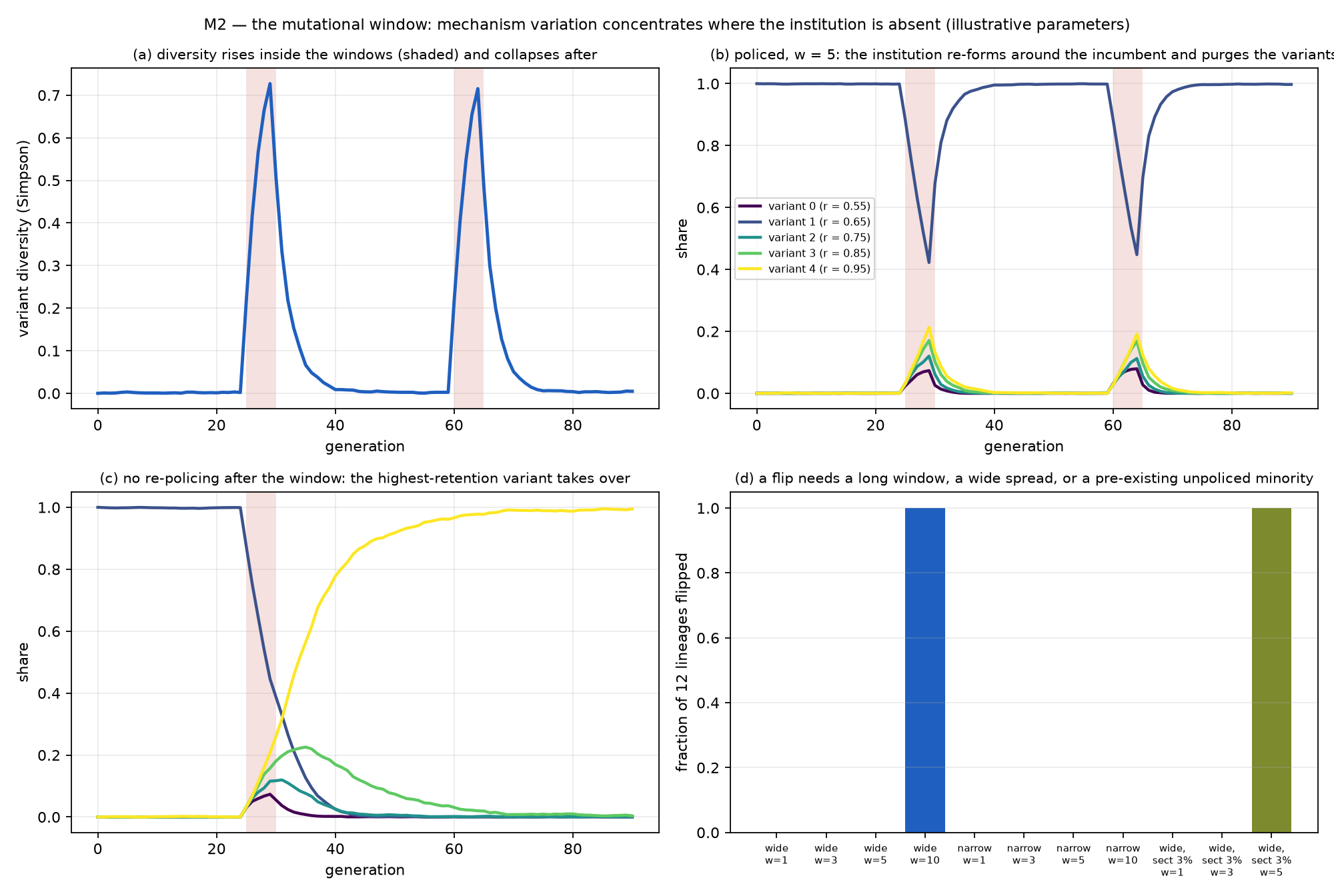 Figure 2. The mutational window. (a) Variant diversity rises inside the two loss windows (shaded) and collapses after them. (b) With policing restored at the window's close, the institution re-forms around the incumbent and purges the variants. (c) With no re-policing, the highest-retention variant takes over. (d) The fraction of twelve isolated lineages whose official mechanism changed, by window length and retention spread, and with a three-percent unpoliced minority holding the fitter variant before the loss. Illustrative parameters.
